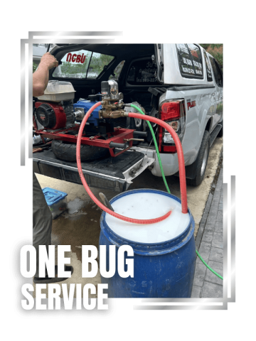 รับฉีดปลวก นนทบุรี